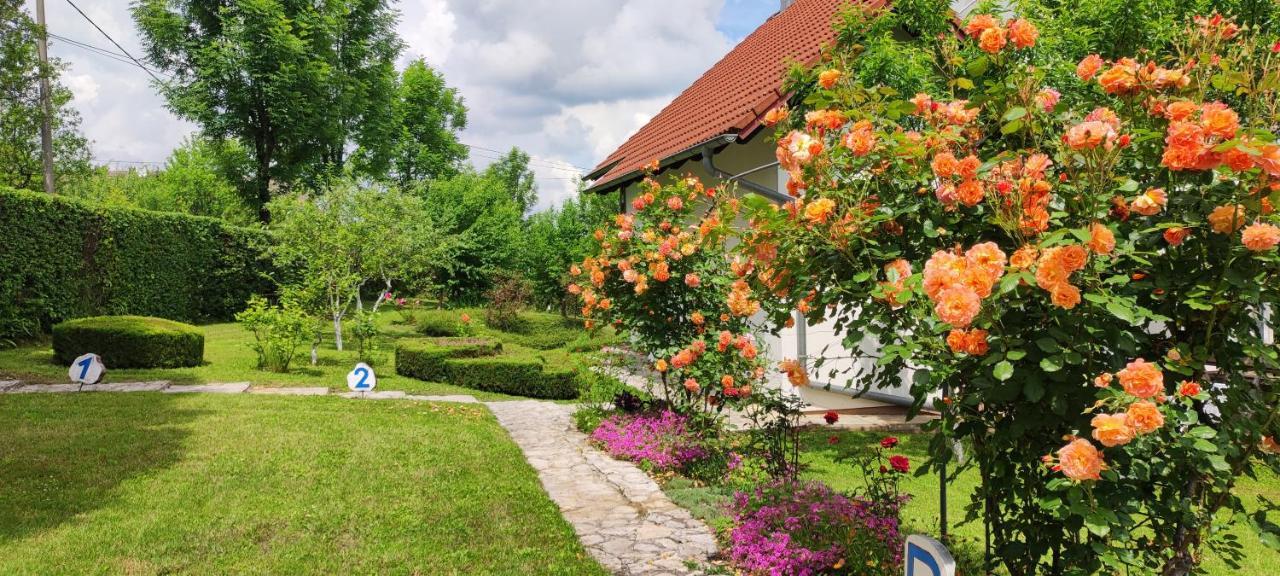 Guest House Kolic Drežnik Grad Exteriér fotografie